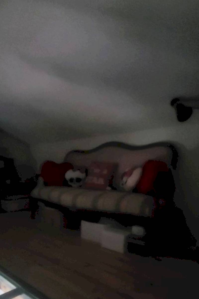 Combinaison de fenêtres de toit