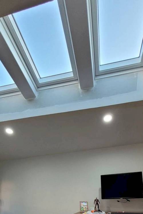 Combinaison de fenêtres de toit