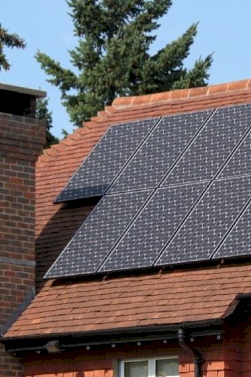 Lorem ipsum vitalis dolor